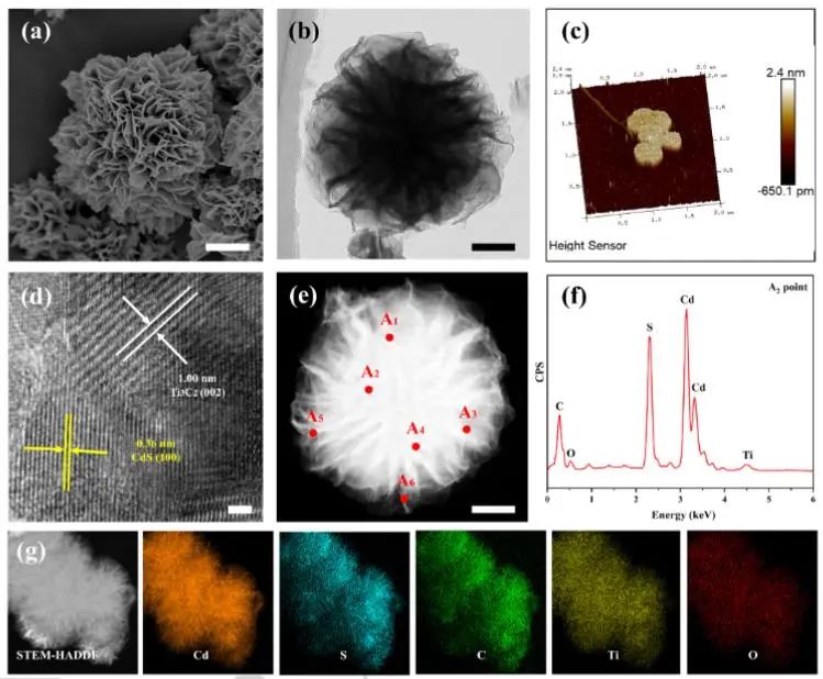 催化頂刊集錦：Angew.、EES、Chem、JACS、ACS Catal.、AFM、ACS Nano