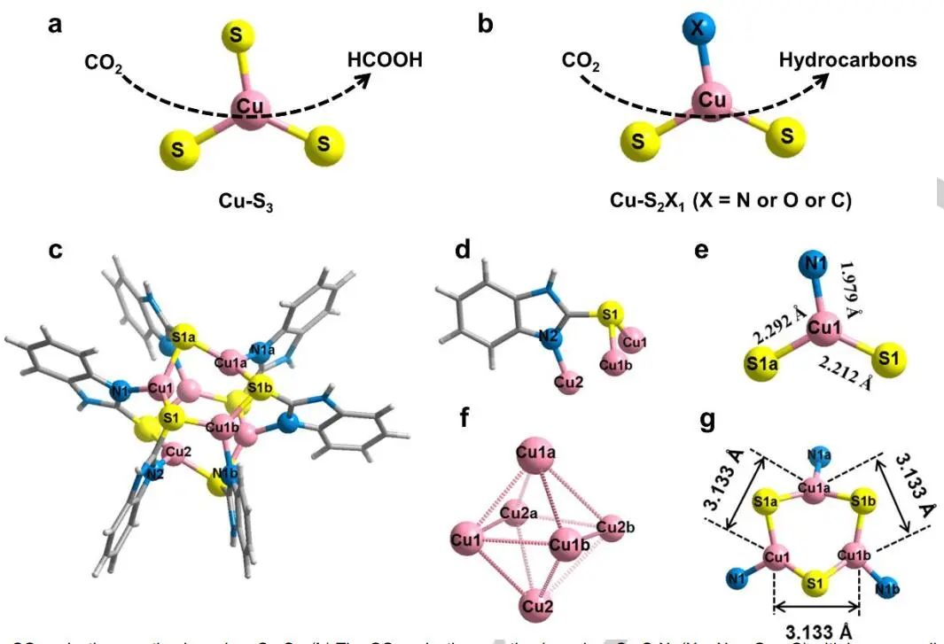 黃遠(yuǎn)標(biāo)/曹榮Angew.：Cu6(MBD)6高效電還原CO2
