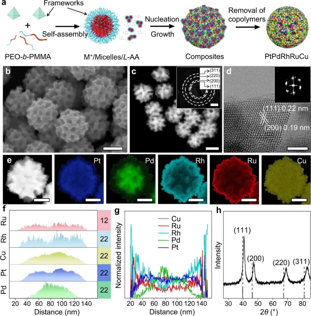 催化頂刊集錦：Nature子刊、Angew.、AFM、AM、Nano Energy、ACS Energy Lett.等！