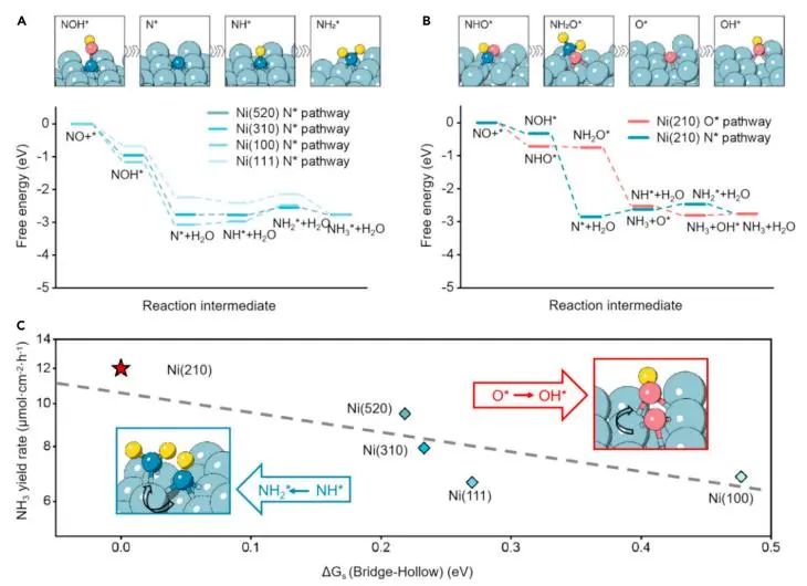 催化頂刊集錦：JACS、Nature子刊、Chem、AFM、ACS Catalysis、ACS Nano等成果
