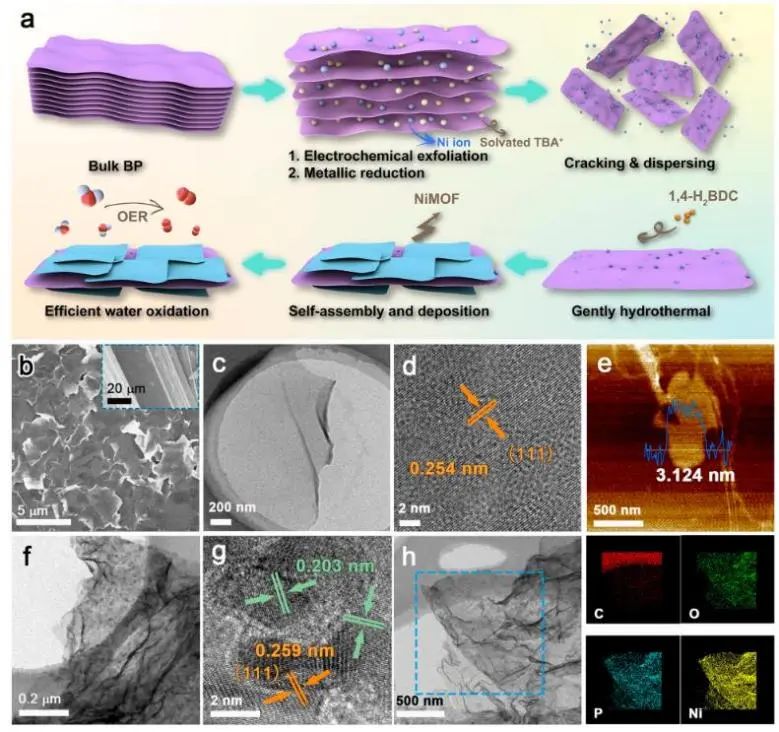 催化頂刊集錦：JACS、Nature子刊、Chem、AFM、ACS Catalysis、ACS Nano等成果
