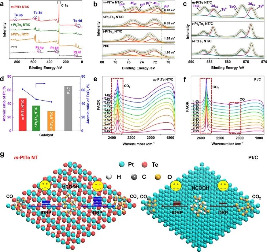 JACS：最高超35倍！m-PtTe NT助力甲酸氧化反應(yīng)