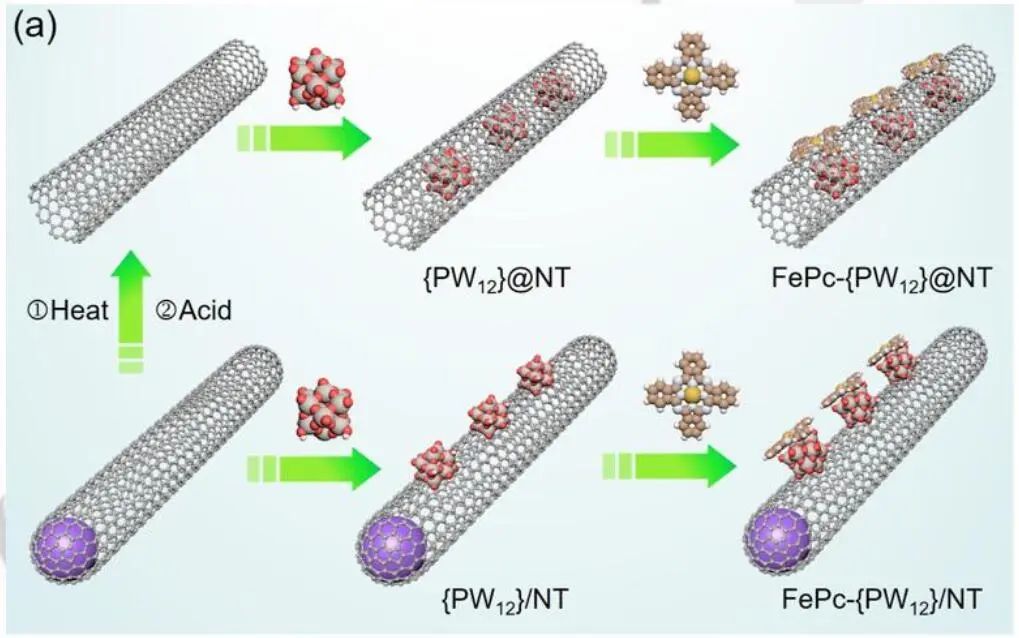 【計(jì)算+實(shí)驗(yàn)】頂刊速遞：4篇Angew.?、Chem、JACS、Nature子刊、ACS Catalysis等各一篇！