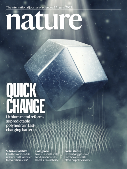 顛覆傳統(tǒng)！鋰金屬電池，登上Nature封面！