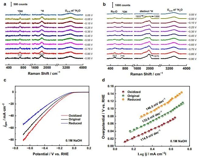 催化頂刊集錦：JACS、Nature子刊、Chem、AFM、ACS Catalysis、ACS Nano等成果