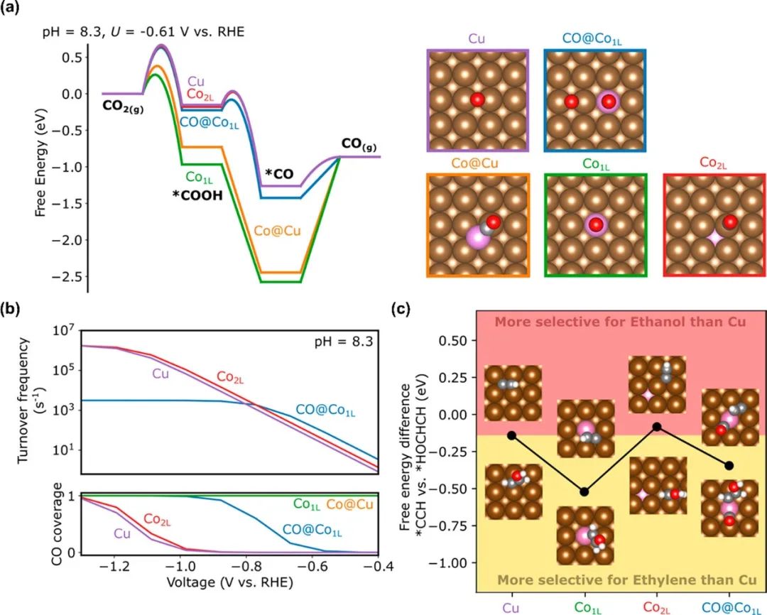 催化頂刊集錦：Nature子刊、Angew.、AFM、AM、Nano Energy、ACS Energy Lett.等！