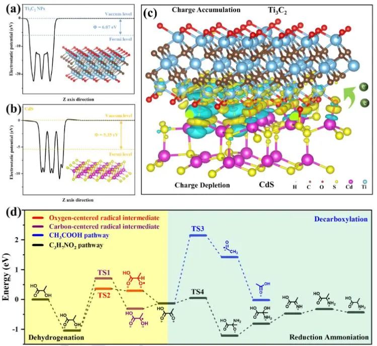 催化頂刊集錦：Angew.、EES、Chem、JACS、ACS Catal.、AFM、ACS Nano