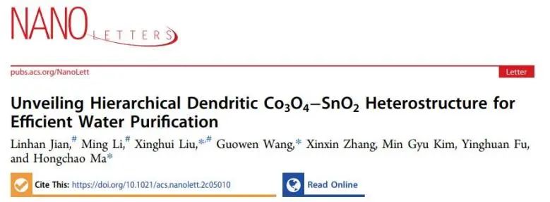Nano Letters：構(gòu)建分層樹枝狀Co3O4-SnO2異質(zhì)結(jié)構(gòu)用于高效PEC水凈化