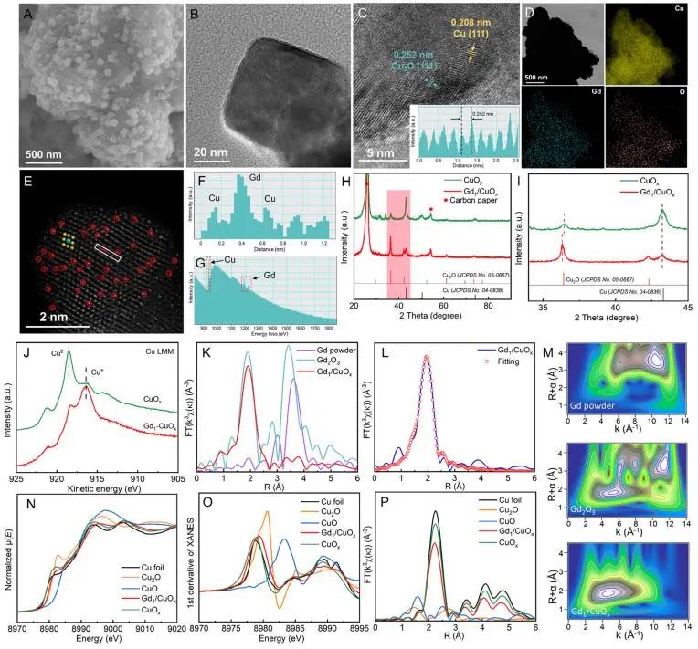 催化頂刊集錦：JACS、Angew.、AFM、ACS Catal.、Adv. Sci.、Small等成果