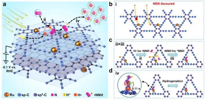 催化頂刊集錦：JACS、Angew.、AFM、ACS Catal.、Adv. Sci.、Small等成果