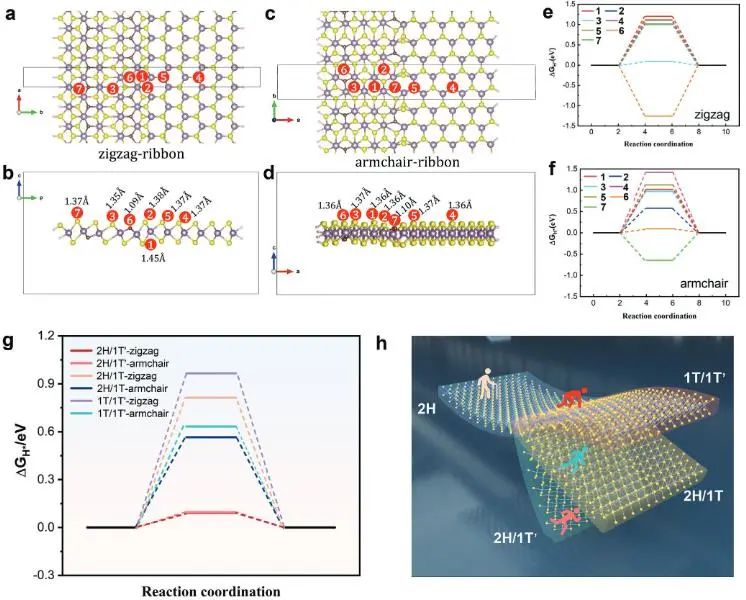 催化頂刊集錦：Nature子刊、EES、AFM、ACS Catal.、Small、Adv. Sci.等成果