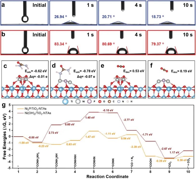 上師大AFM：Ni2P/TiO2-NTAs助力PEC-UOR