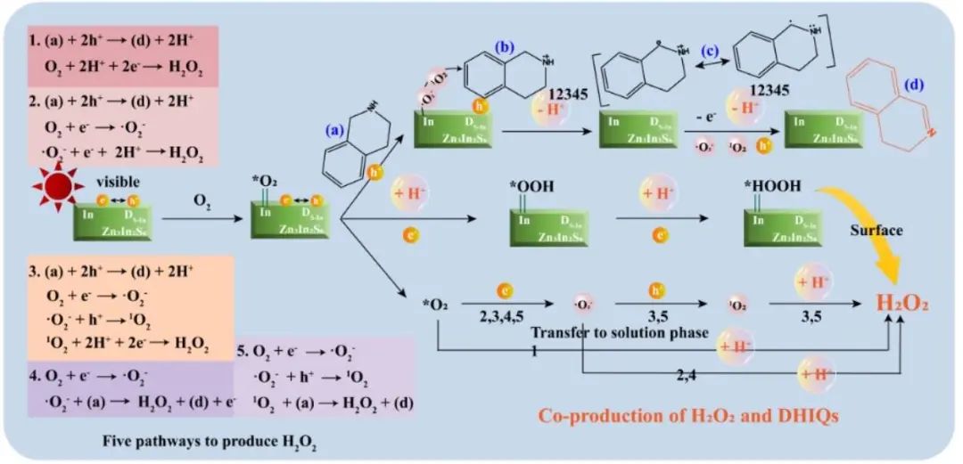 上硅所/華東師大AM：缺陷Zn3In2S6光催化生產(chǎn)二氫異喹啉和H2O2