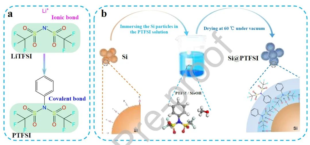 鄭洪河&王艷EnSM：類LiTFSI結(jié)構(gòu)界面層，助力20C高倍率硅負極！