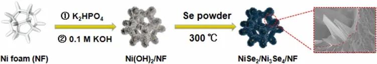 催化頂刊集錦：Nature、JACS、Nano Energy、ACS Catal.、Chem. Eng. J.等成果