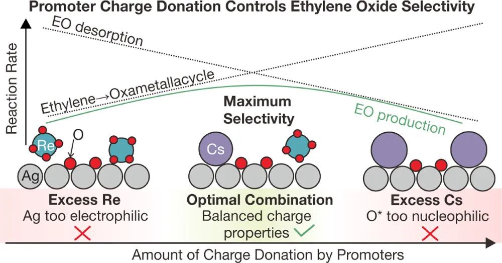 機器學習，頂刊精選：Nature、ACS Catalysis、JMCA、ACS AMI、ES&T等成果