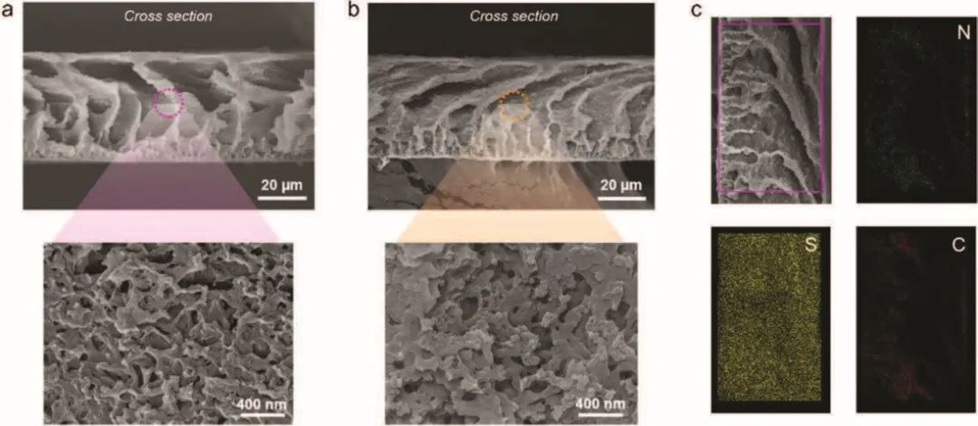 成均館大學Small Methods：用于鉀硫電池的無粘結劑、高負載正極