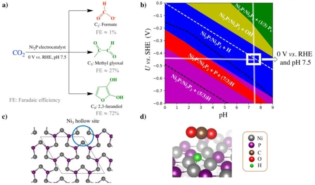催化頂刊集錦：ACS Catalysis、Small、Nano Energy、NML、Appl. Catal. B.等成果