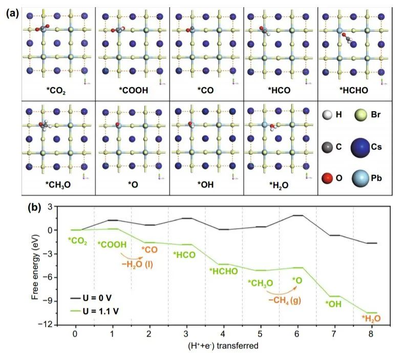 Nano-Micro Letters：超穩(wěn)定水分散性CsPbBr3納米晶體用于電催化CO2還原