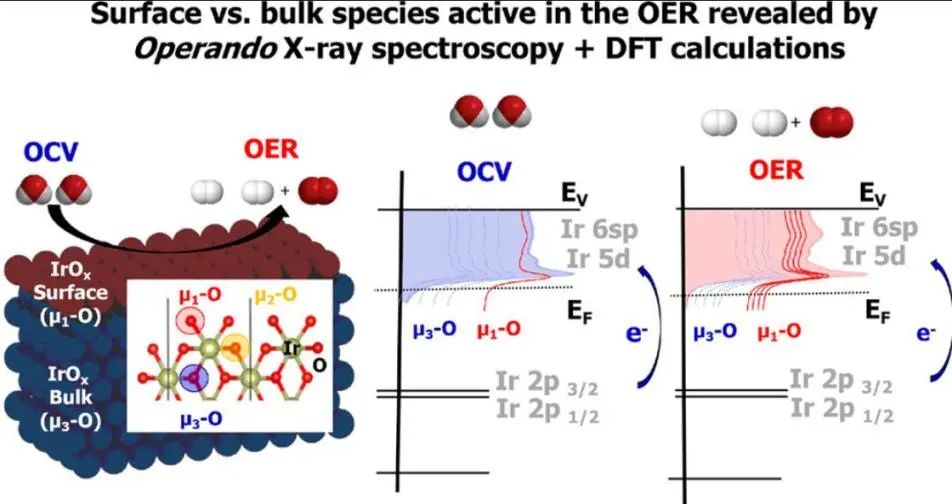 弗里茨哈伯研究所JACS: 表面電子空穴富集物種對(duì)于電催化水氧化具有活性