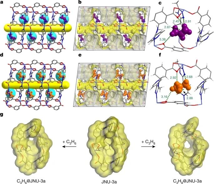 獨(dú)立完成！暨南大學(xué)2021年第1篇Nature