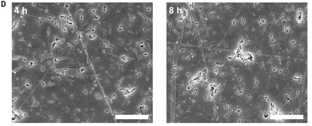 黃勁松最新Science！界面！界面！界面！