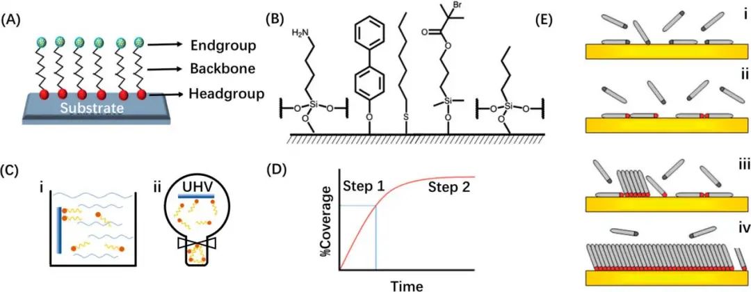 納米所陳立桅/沈炎賓JACS: 用于電池的自組裝單層膜綜述