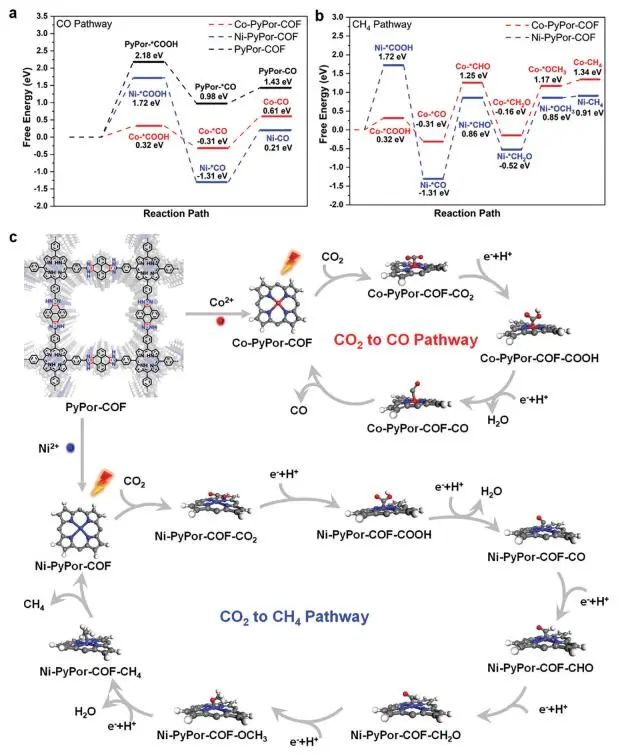 山東大學(xué)李培洲Small：提高45倍！M-PyPor-COFs實(shí)現(xiàn)高效CO2光還原
