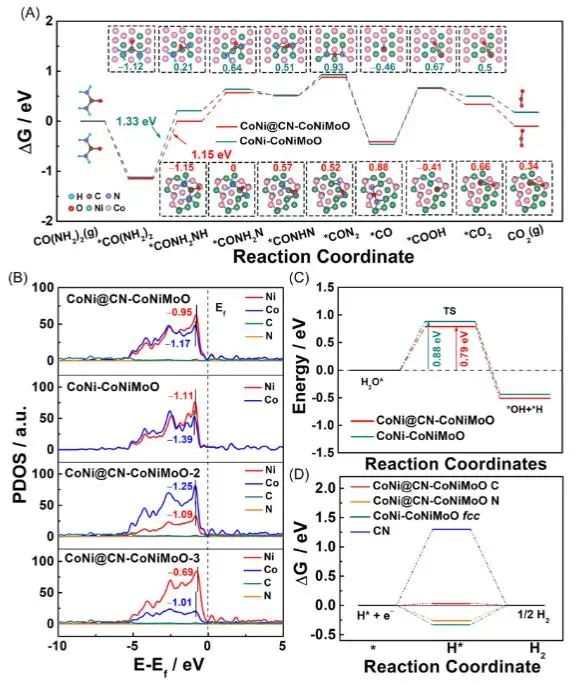 催化頂刊集錦：Nature子刊、EES、AM、EnSM、Carbon Energy、Small等成果
