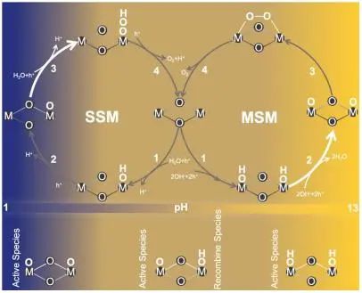肖鵬/張云懷/甘立勇ACS Catalysis：原位技術(shù)+理論計算！揭示金屬氧化物上中間體在全pH范圍內(nèi)的變化