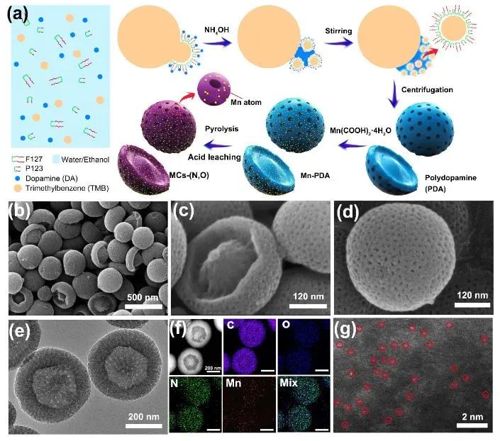 催化頂刊集錦：JACS、Angew.、AM、AEM、Adv. Sci.、Small等成果集錦！