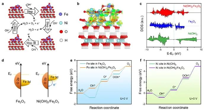 催化頂刊集錦：AM、ACS Catalysis、Small、JMCA、AFM、ACS Nano、NML等成果