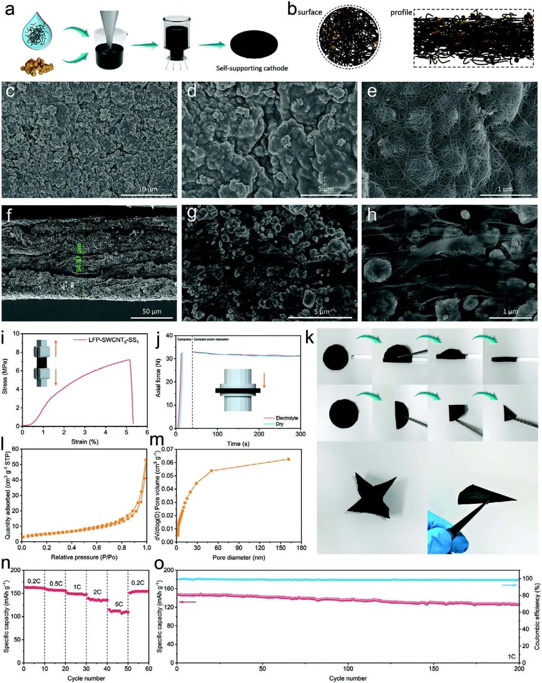 電池頂刊速遞：Nature子刊、AM、EES、AFM、Adv. Sci.、EnSM、ACS Nano等成果！