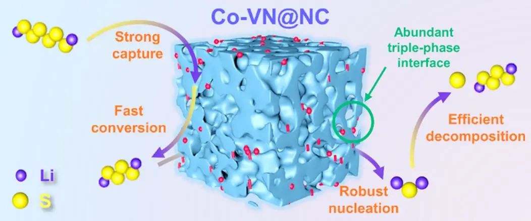 ACS Nano：通過幾何/電子調(diào)解器調(diào)制引導(dǎo)Li-S電池的雙向硫氧化還原作用