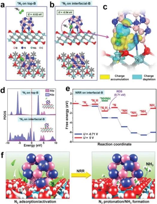 蘭州交大褚克Small: BN QDs@Nb2CTx上的協(xié)同作用增強(qiáng)電催化氮還原
