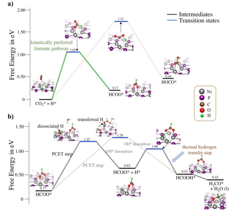 催化頂刊集錦：ACS Catalysis、Small、Nano Energy、NML、Appl. Catal. B.等成果