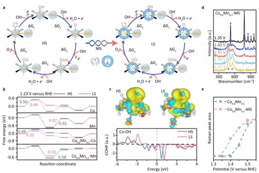 催化頂刊集錦：Nature子刊、JACS、ACS Catal.、ACS Nano、Nano Energy等成果
