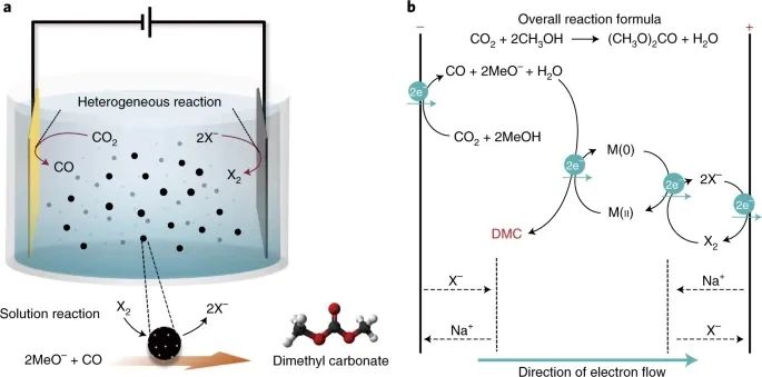 Nature Energy：氧化、還原，全部都要！讓CO2不只再是CO2RR