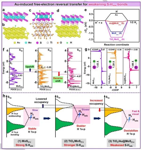 催化頂刊集錦：JACS、Angew.、AFM、ACS Catal.、Adv. Sci.、Small等成果