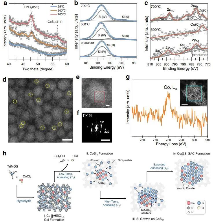 催化頂刊集錦：Nature子刊、AM、AEM、Nano Energy、Nano Letters、Small等