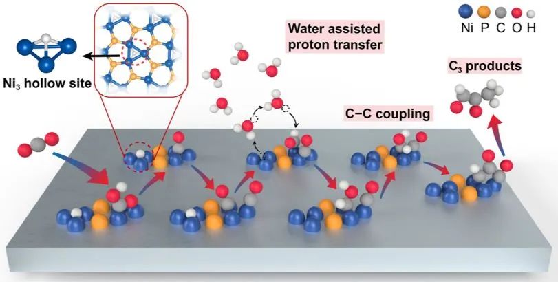 ?北大ACS Catalysis：Ni2P催化劑的多中心協(xié)同作用用于增強電化學(xué)CO2還原中的C-C偶聯(lián)