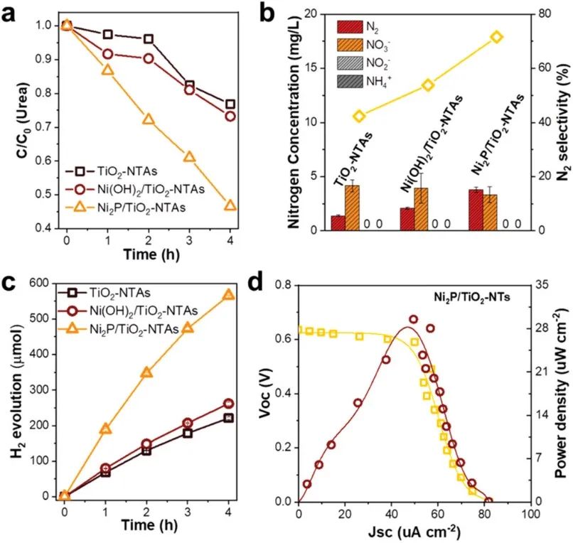 上師大AFM：Ni2P/TiO2-NTAs助力PEC-UOR