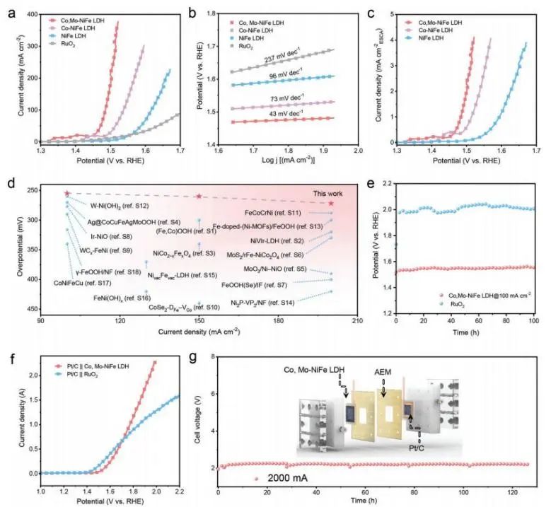 催化頂刊集錦：JACS、Angew.、AM、AEM、Adv. Sci.、Small等成果集錦！