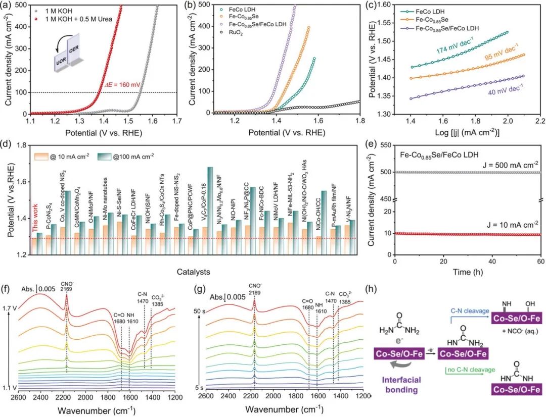 催化頂刊集錦：AM、ACS Catalysis、Small、JMCA、AFM、ACS Nano、NML等成果