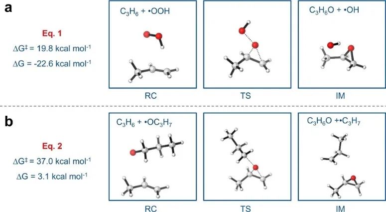 大連理工陸安慧教授Nature子刊：h-BN上原位生成烯烴輔助烷烴的自動加速脫氫