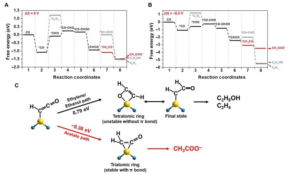 ?王超/王國(guó)峰Science子刊：?jiǎn)卧覥u上的CO電還原