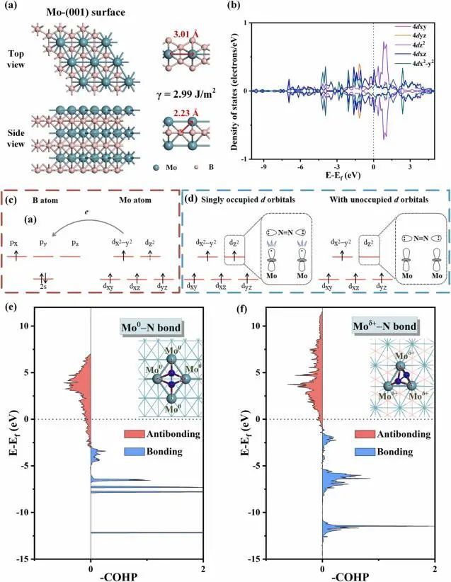 催化日報頂刊集錦：Angew./AFM/Small Methods/NML/ACS Catal./ACB等成果