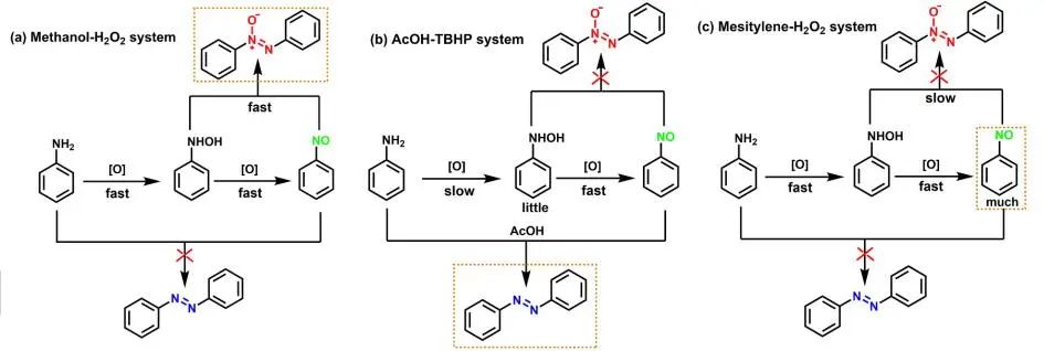 蘭大馬建泰Angew.：Zr(OH)4催化苯胺可控選擇性氧化生成偶氮苯、偶氮苯和亞硝基苯