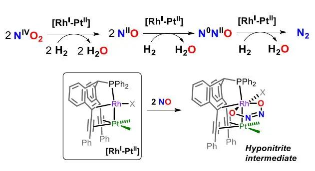 Angew.：Rh(I)-Pt(II)烯烴配合物催化氫氣還原氮氧化物