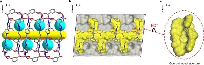 獨(dú)立完成！暨南大學(xué)2021年第1篇Nature